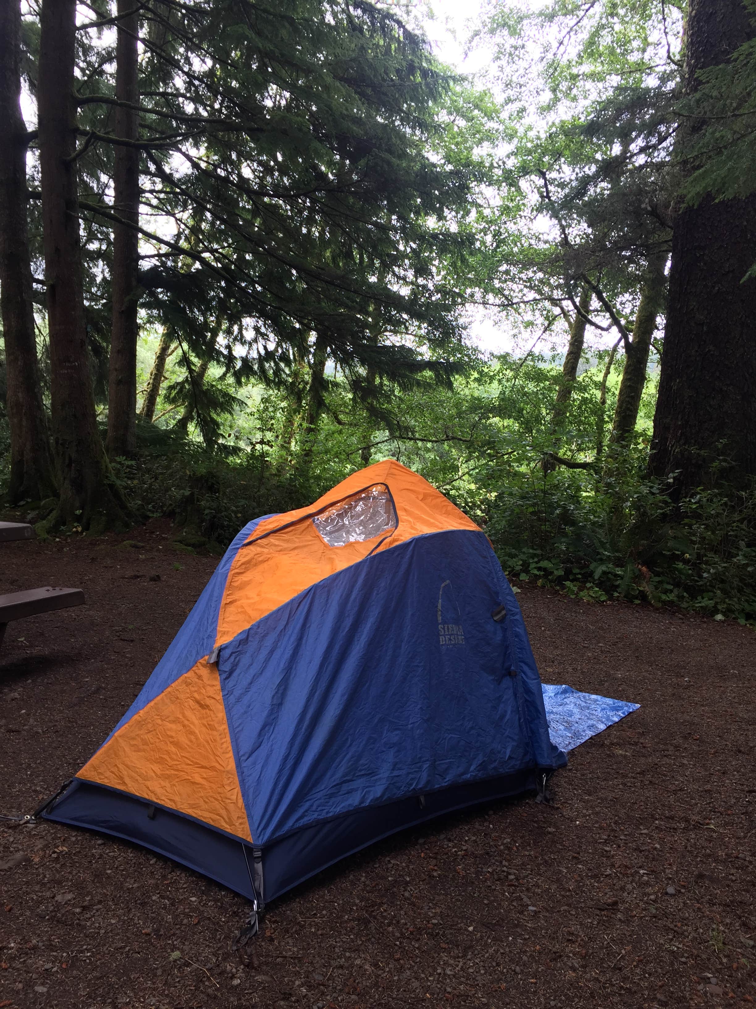 Camper submitted image from Mora Campground — Olympic National Park - 2