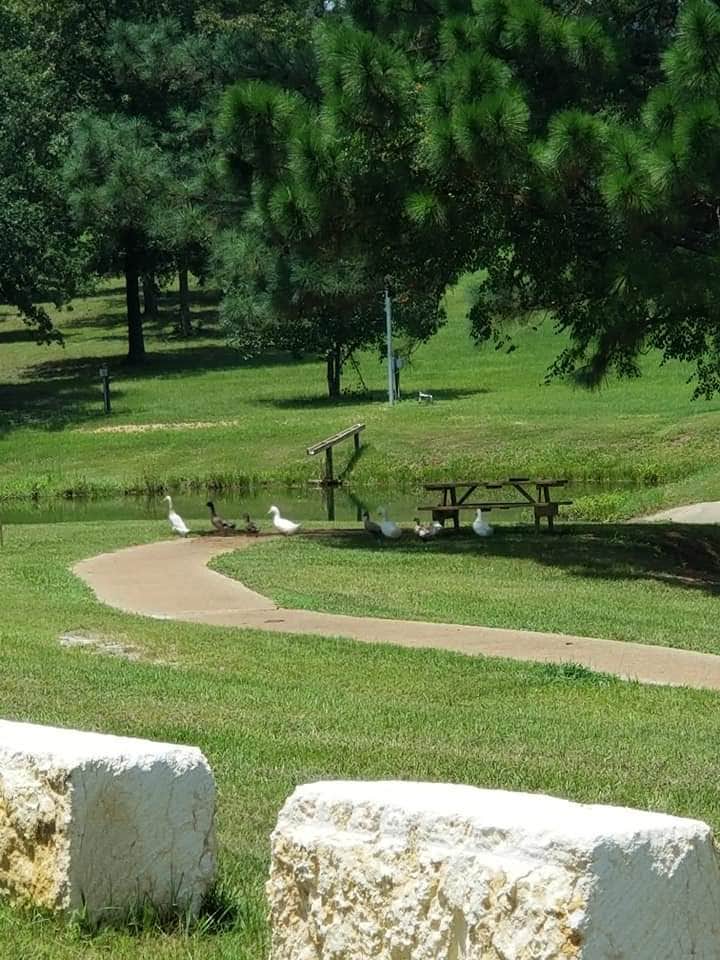 Camper-submitted photo at Country Club Park near Newton, TX