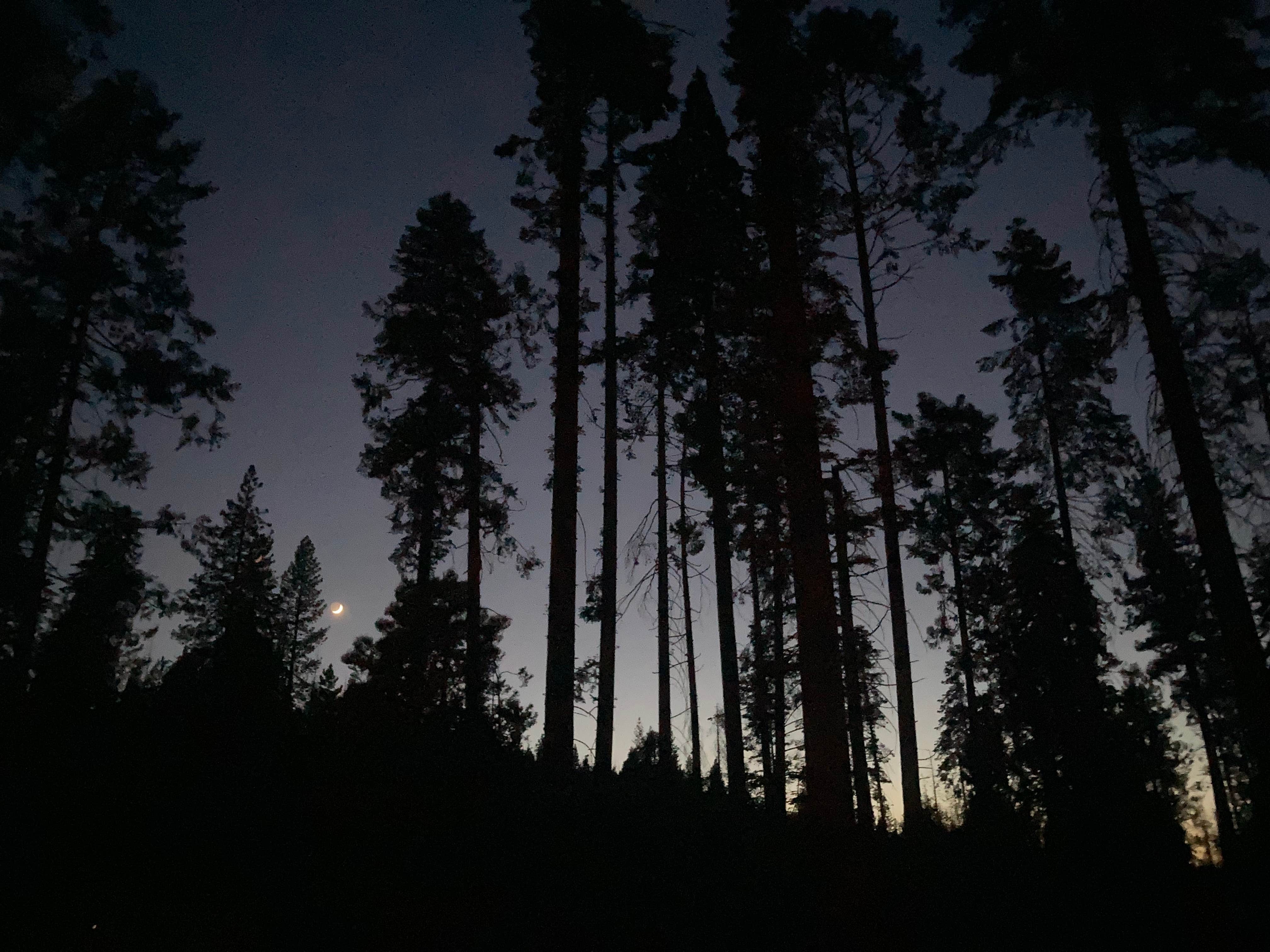 Camper submitted image from Landslide — Sequoia National Forest - 2