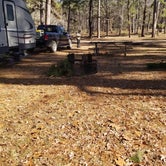 Review photo of Boles Field NF Campground by Rosemary G., January 28, 2021
