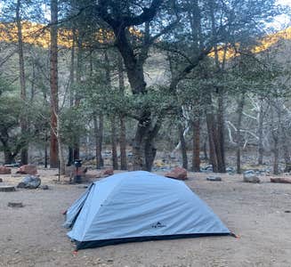 Camper-submitted photo from Manzanita Campground