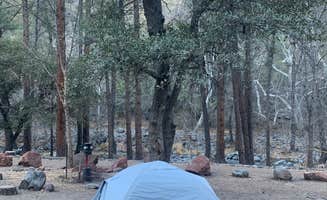 Heath L.'s photo at Manzanita Campground near Munds Park, AZ