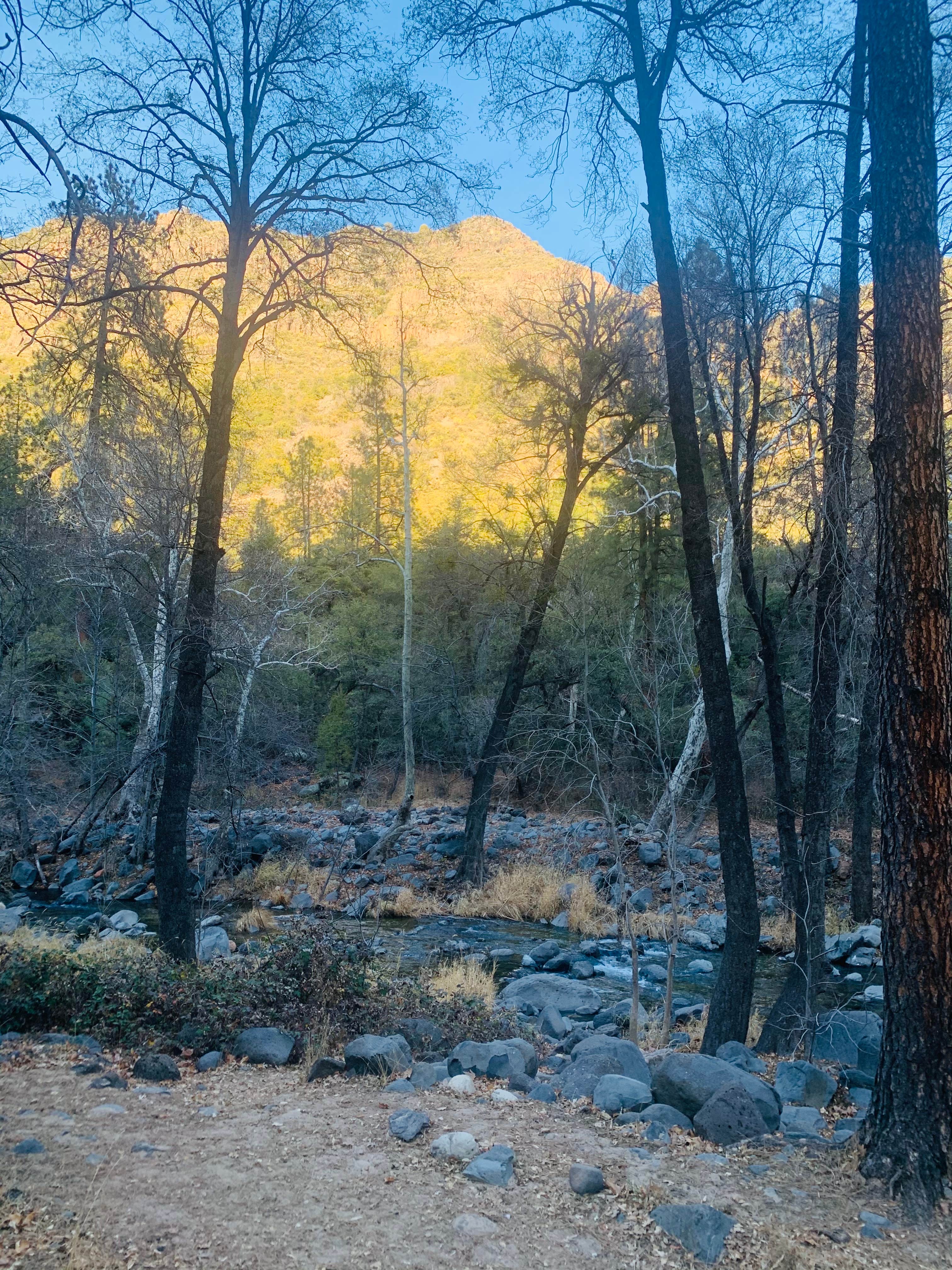 Camper-submitted photo at Manzanita Campground near Camp Verde, AZ