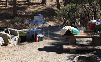Bill H.'s photo at Idyllwild Campground — Mount San Jacinto State Park near Anza, CA