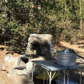 Review photo of Idyllwild Campground — Mount San Jacinto State Park by Bill H., May 28, 2018