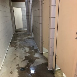 A bit of a drainage problem in the women's bathroom