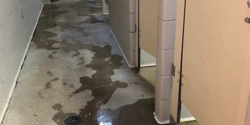 Camper submitted image from Cave-in-Rock State Park