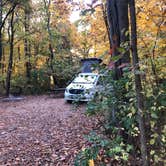 Review photo of Starved Rock Campground — Starved Rock State Park by Lee D., January 28, 2021