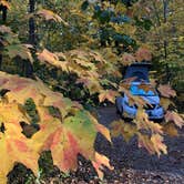 Review photo of Starved Rock Campground — Starved Rock State Park by Lee D., January 28, 2021