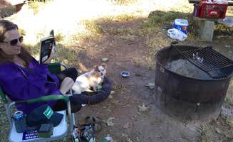 Patrick H.'s photo at Morro Bay State Park Campground near Templeton, CA