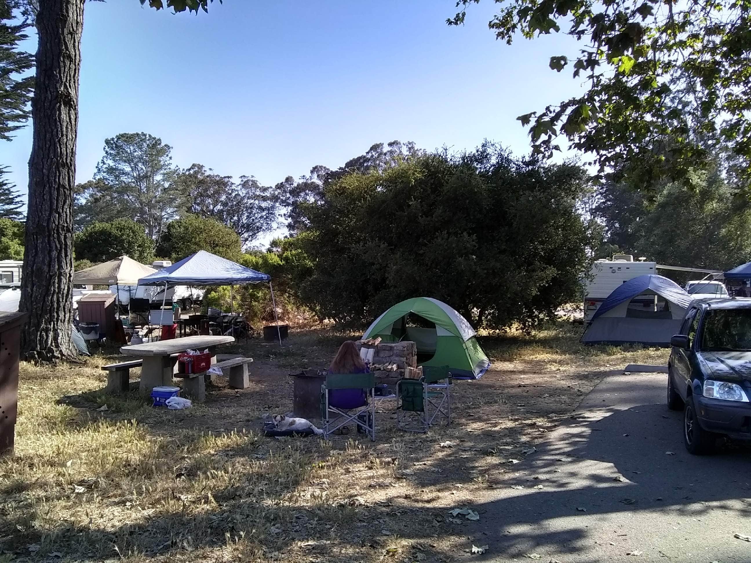 Patrick H.'s photo at Morro Bay State Park Campground near Atascadero, CA