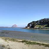 Review photo of Morro Bay State Park Campground by Patrick H., January 29, 2021