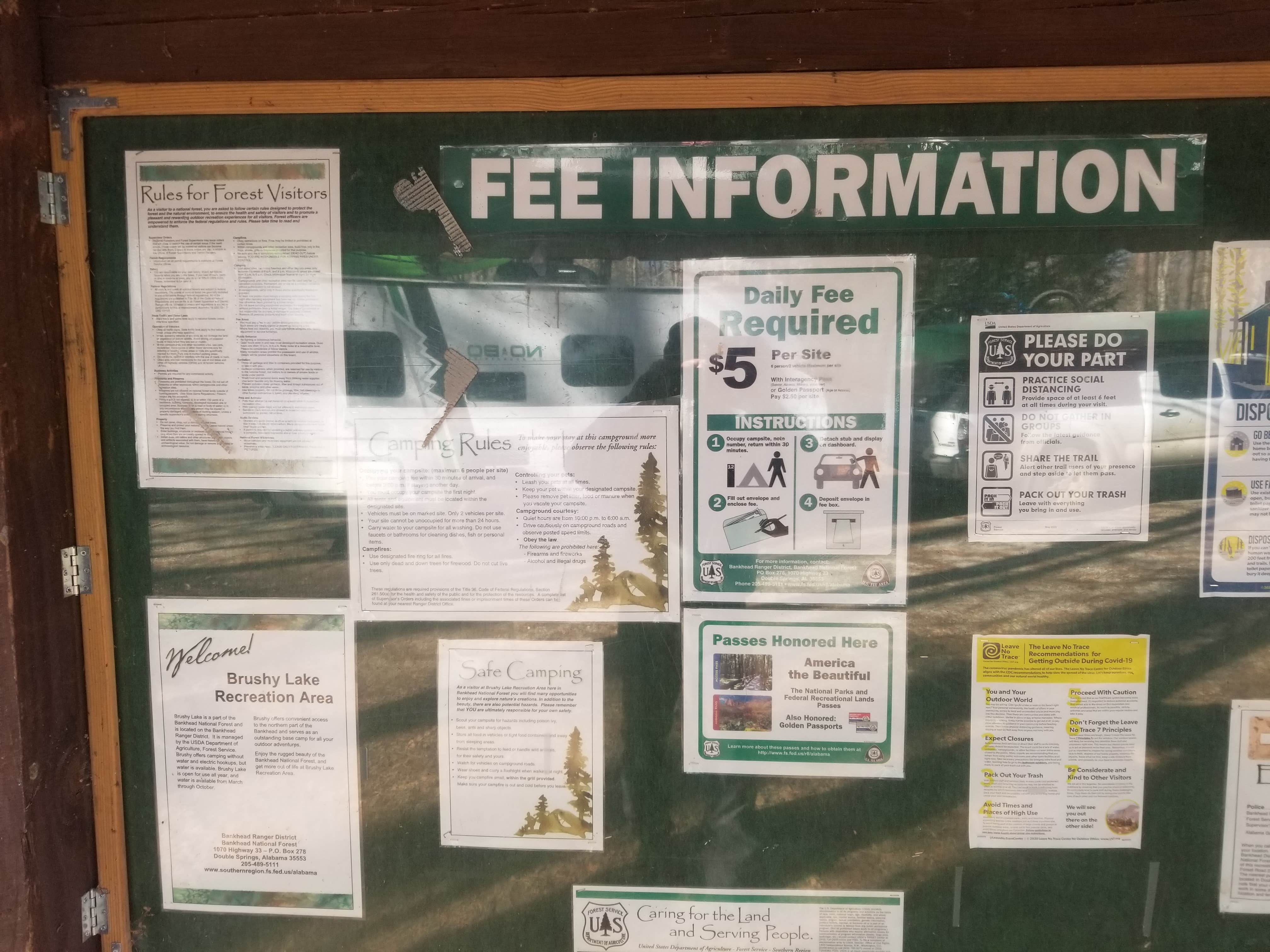 Camper-submitted photo at Brushy Lake Recreation Area near Arley, AL