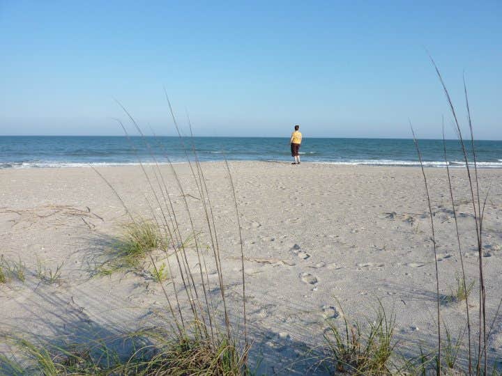 Camper submitted image from Edisto Beach State Park Campground - 2