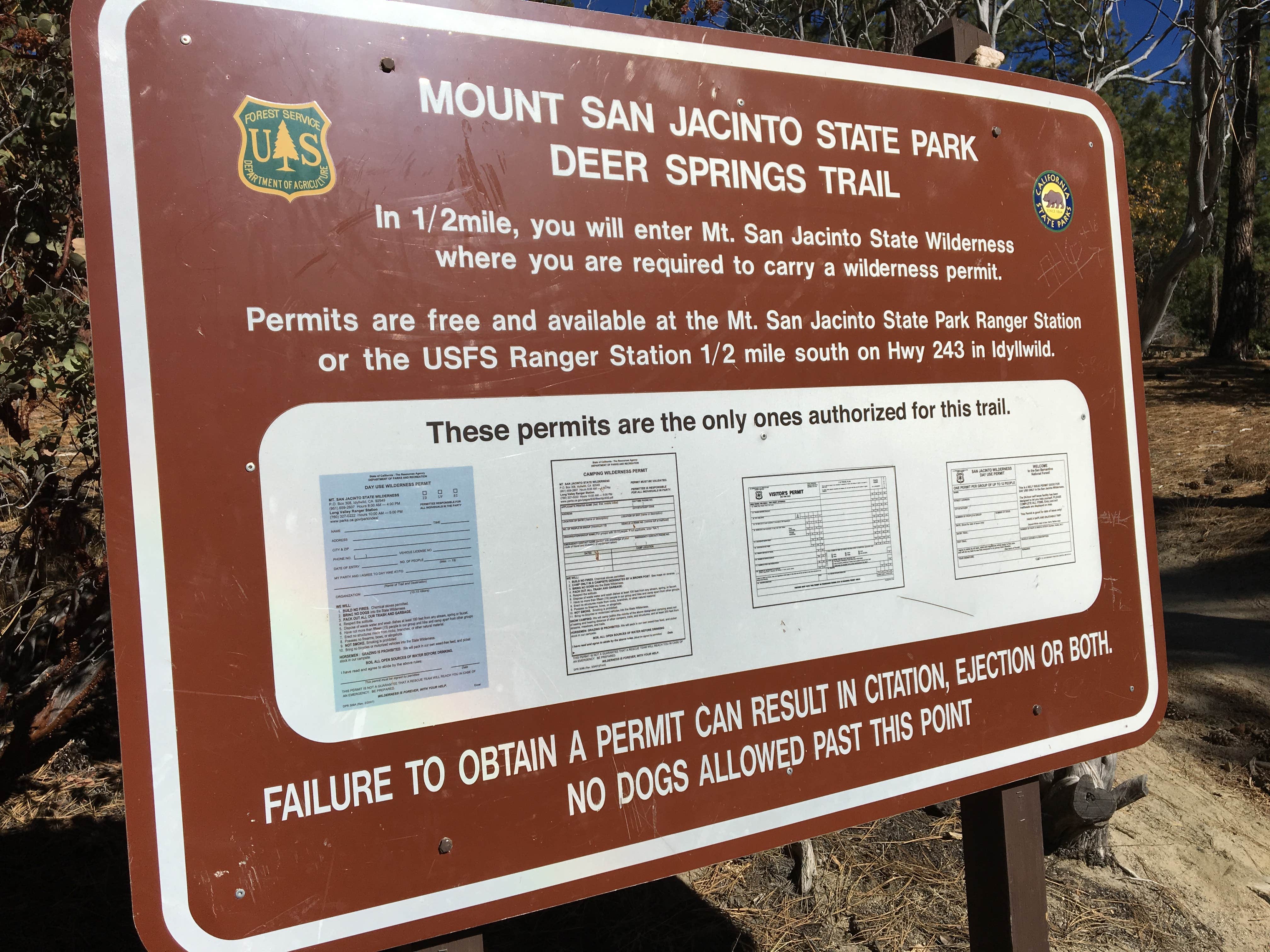 Camper submitted image from Idyllwild Campground — Mount San Jacinto State Park - 5