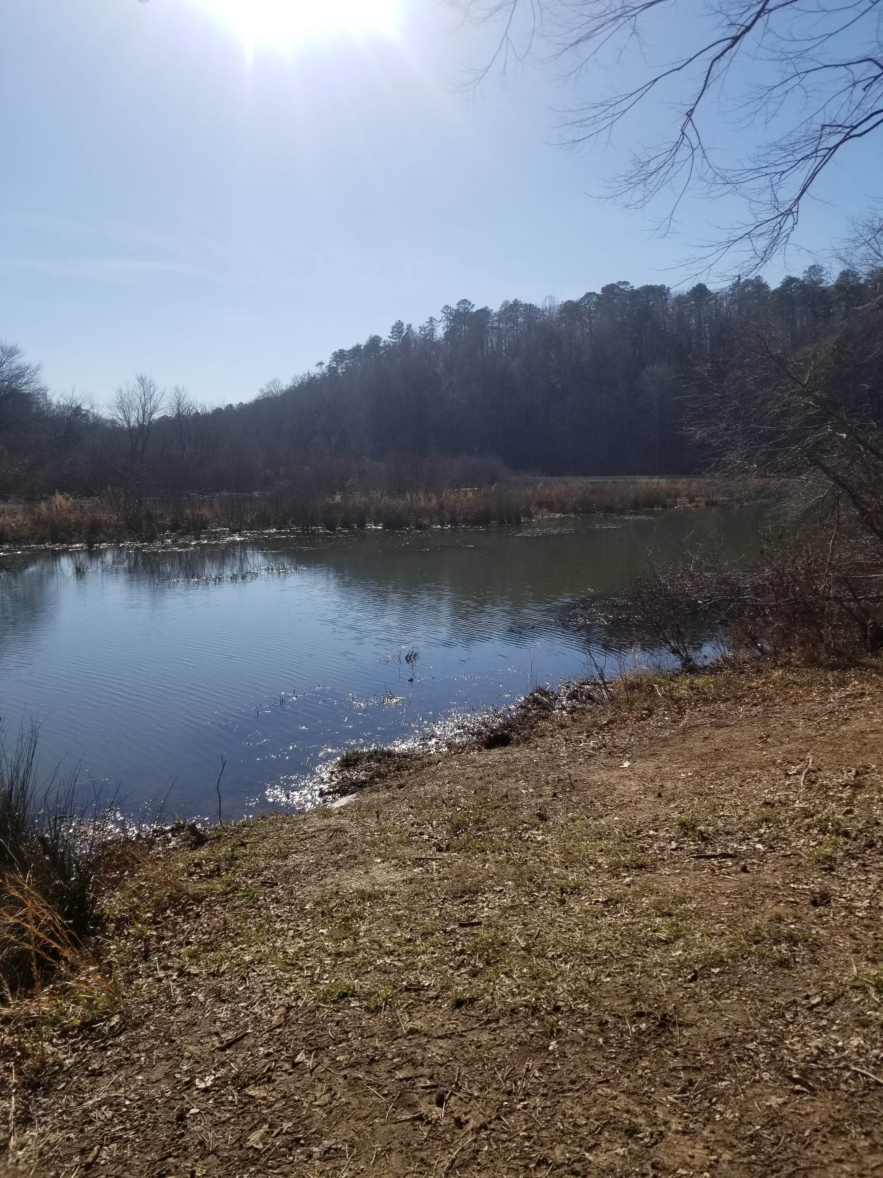 Camper-submitted photo at Brushy Lake Recreation Area near Arley, AL