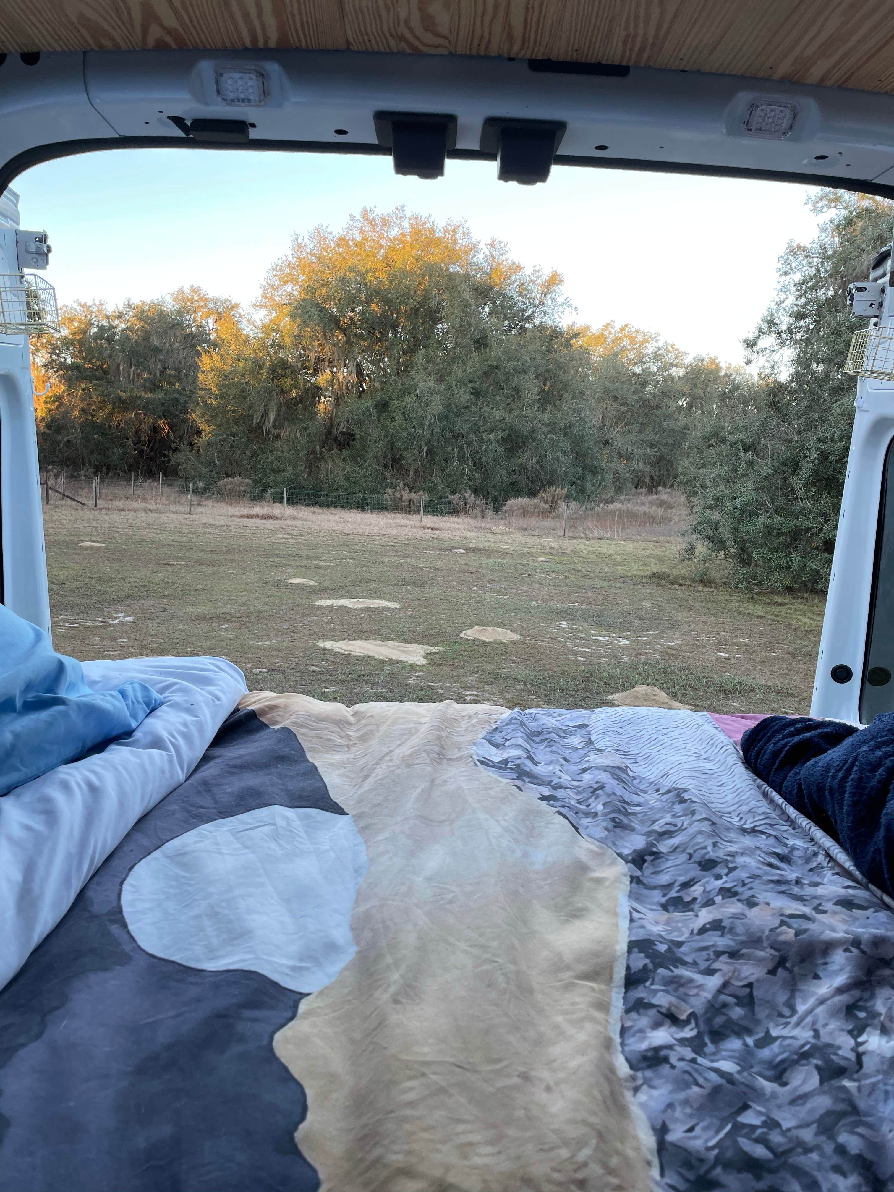 Camper-submitted photo at Lake Panasoffkee near Hernando, FL