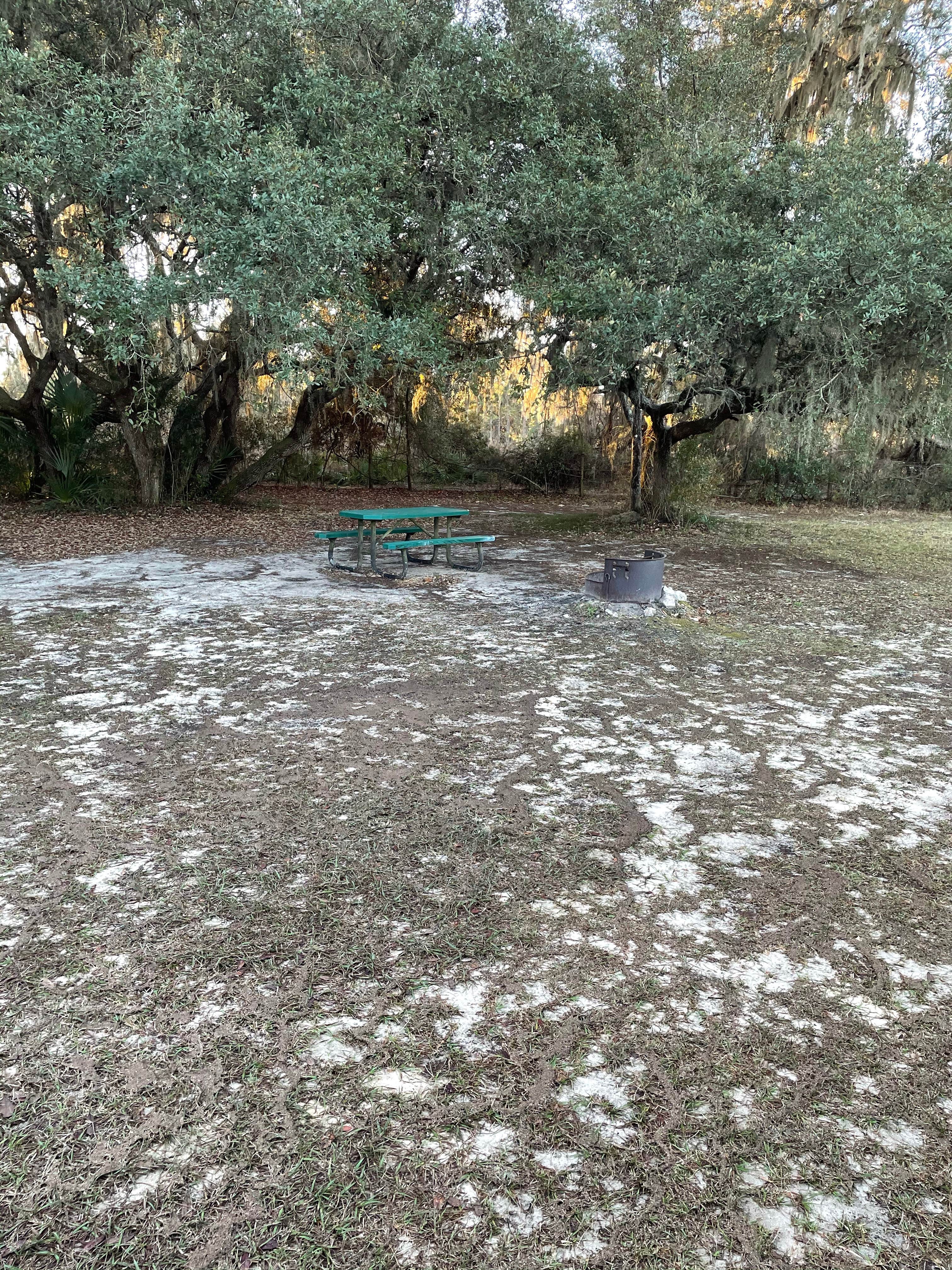 Camper-submitted photo at Lake Panasoffkee near Hernando, FL