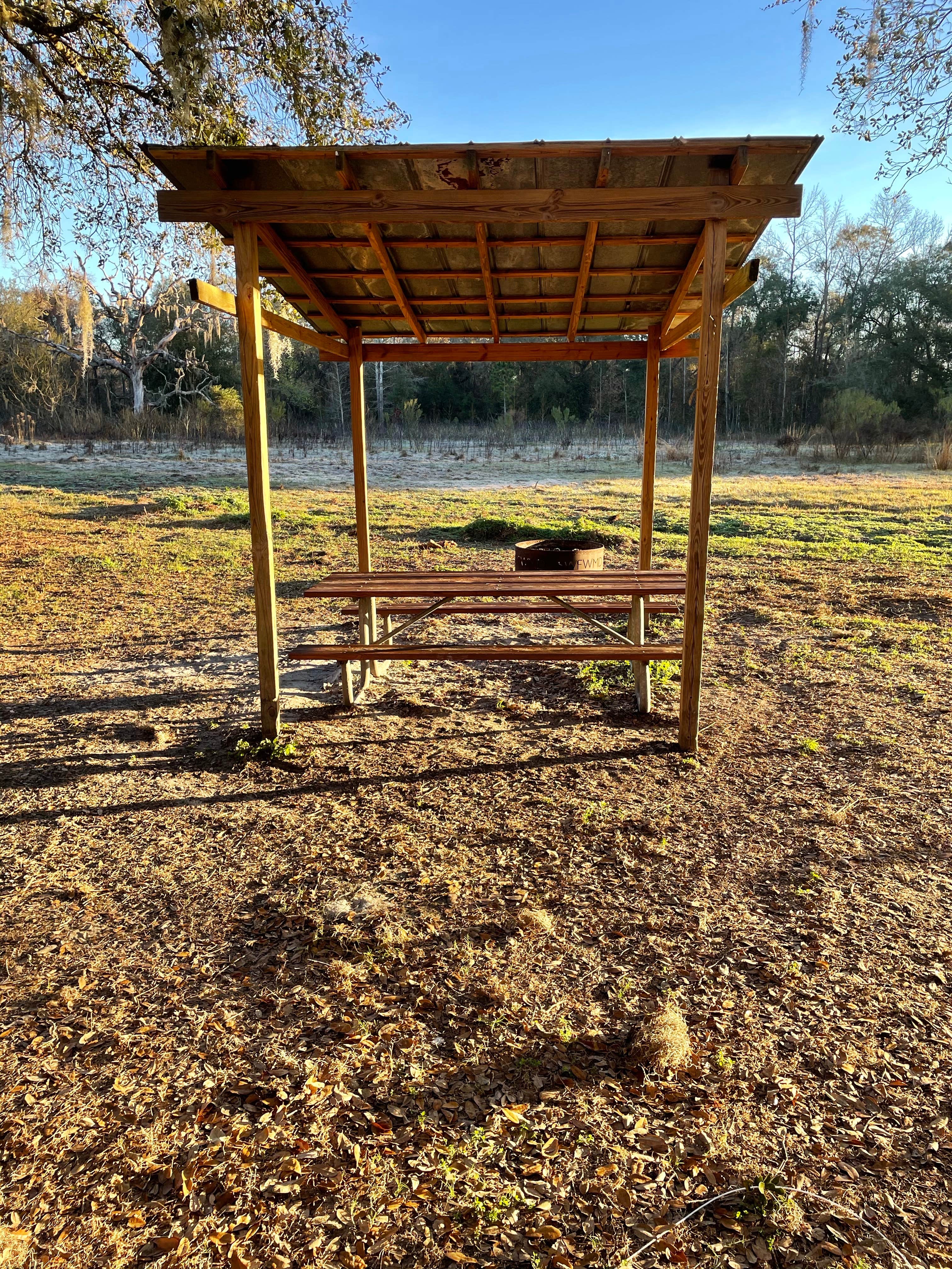 Camper-submitted photo at Green Swamp — West Tract near Zephyrhills, FL