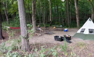Camping near Middle Fork State Fish and Wildlife Area: Kickapoo State Recreation Area, Oakwood, Illinois