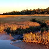 Review photo of Hunting Island State Park Campground by Birgit  H., January 29, 2021