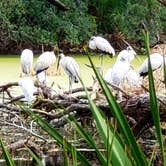 Review photo of Hunting Island State Park Campground by Birgit  H., January 29, 2021