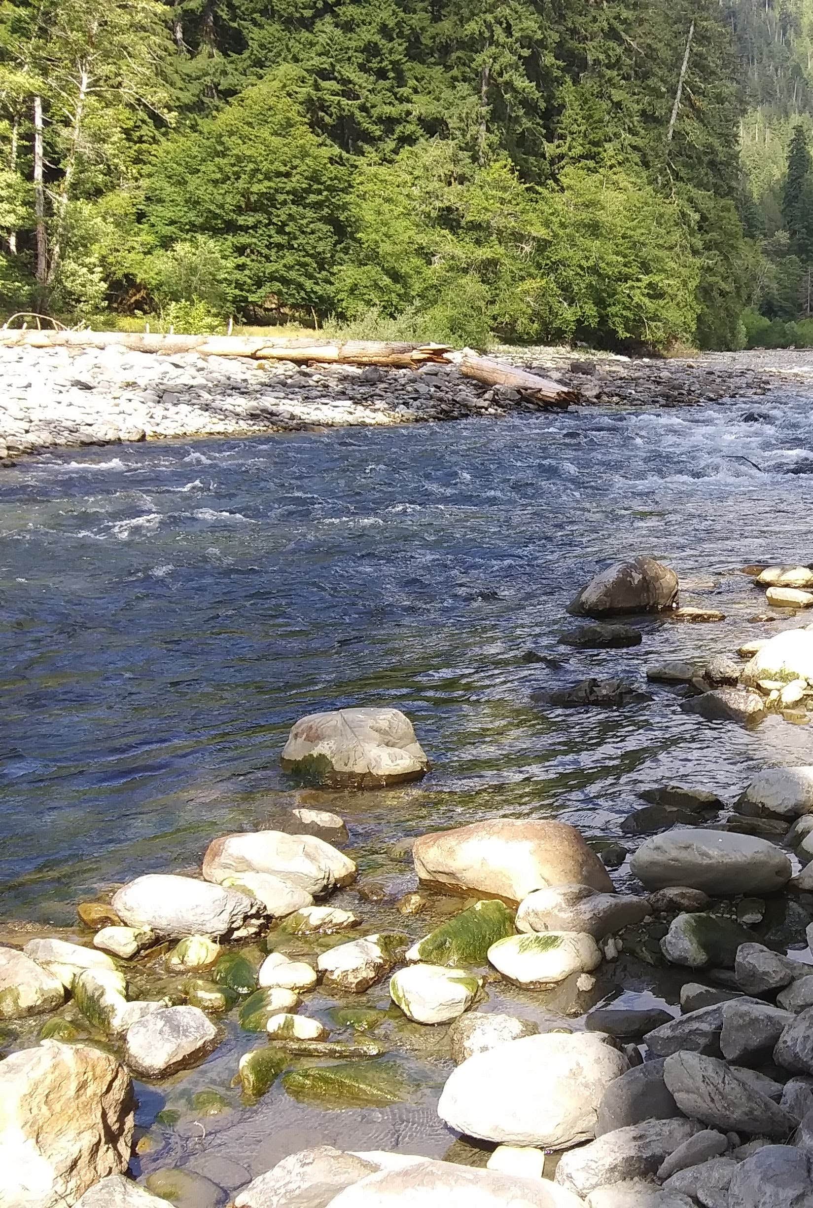 Camper-submitted photo at Graves Creek Campground — Olympic National Park near Taholah, WA