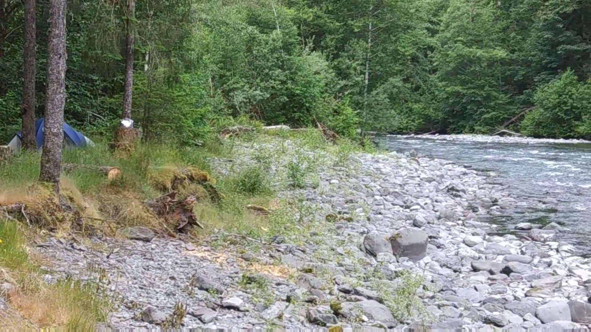 Camper-submitted photo at Graves Creek Campground — Olympic National Park near Taholah, WA