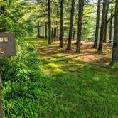 Review photo of Lamping Homestead Recreation Area by Shari  G., May 28, 2018