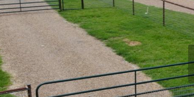 Camper submitted image from Waggin Tail Ranch RV Park