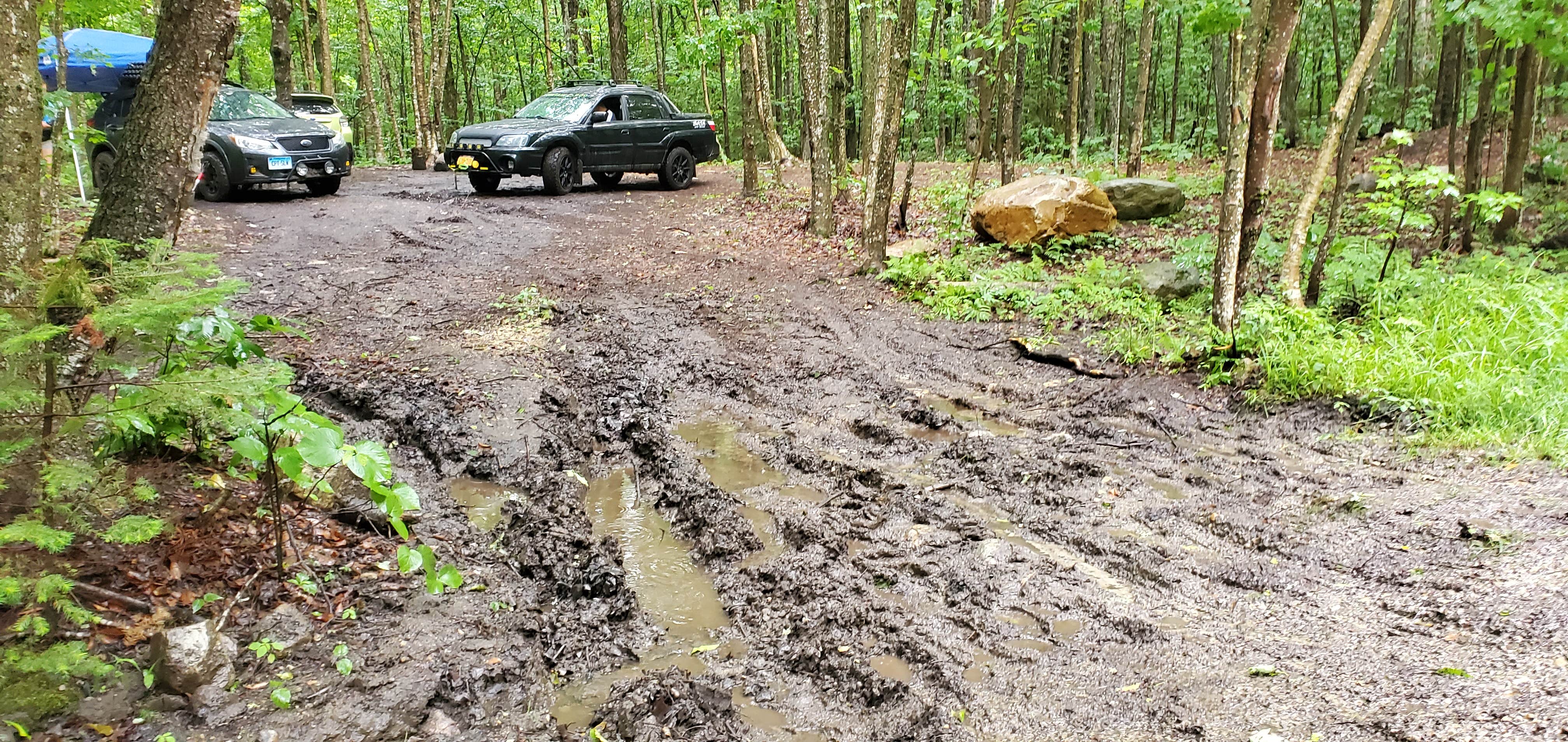 Camper-submitted photo at Dispersed site along Forest RD 71 near Whately, MA