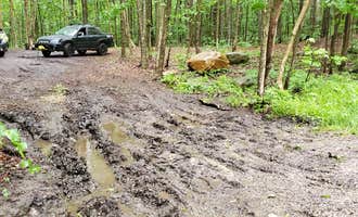 Camping near Woodford State Park Campground: Dispersed site along Forest RD 71, Sunderland, Vermont