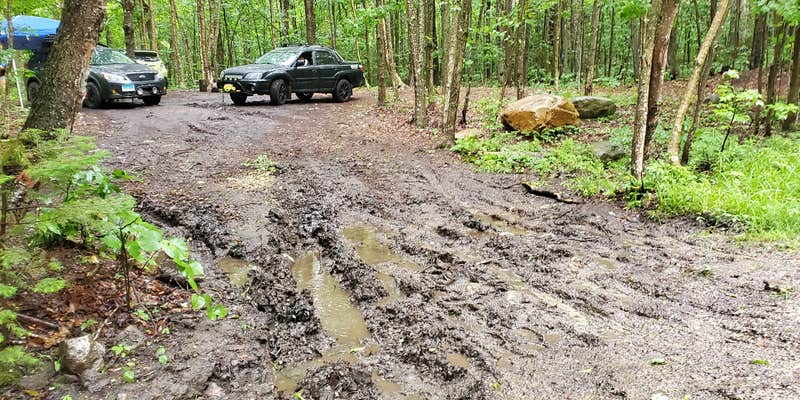 Camper submitted image from Dispersed site along Forest RD 71