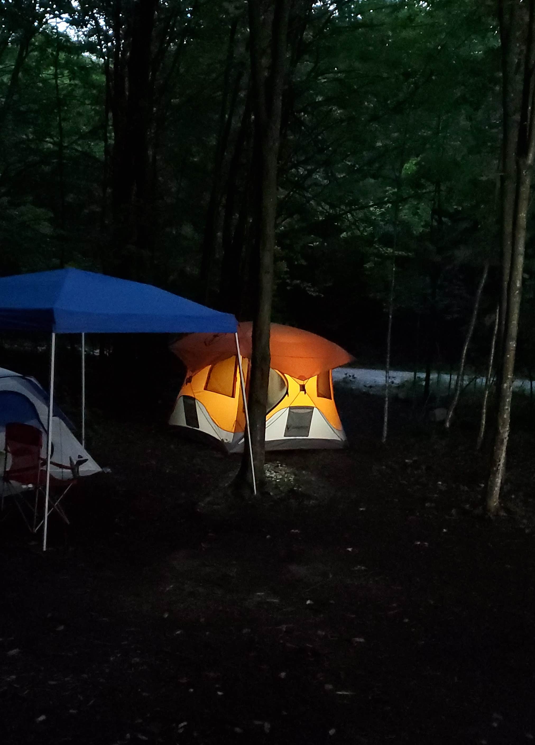 Miccal  M.'s photo of a dispersed camping area at Dispersed site along Forest RD 71 near Whately, MA