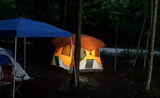 Miccal  M.'s photo of a dispersed camping area at Dispersed site along Forest RD 71 near Greenfield, MA