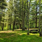 Review photo of Lamping Homestead Recreation Area by Shari  G., May 28, 2018