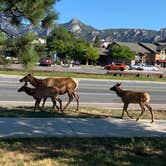 Review photo of Estes Park KOA by Olivia S., January 29, 2021