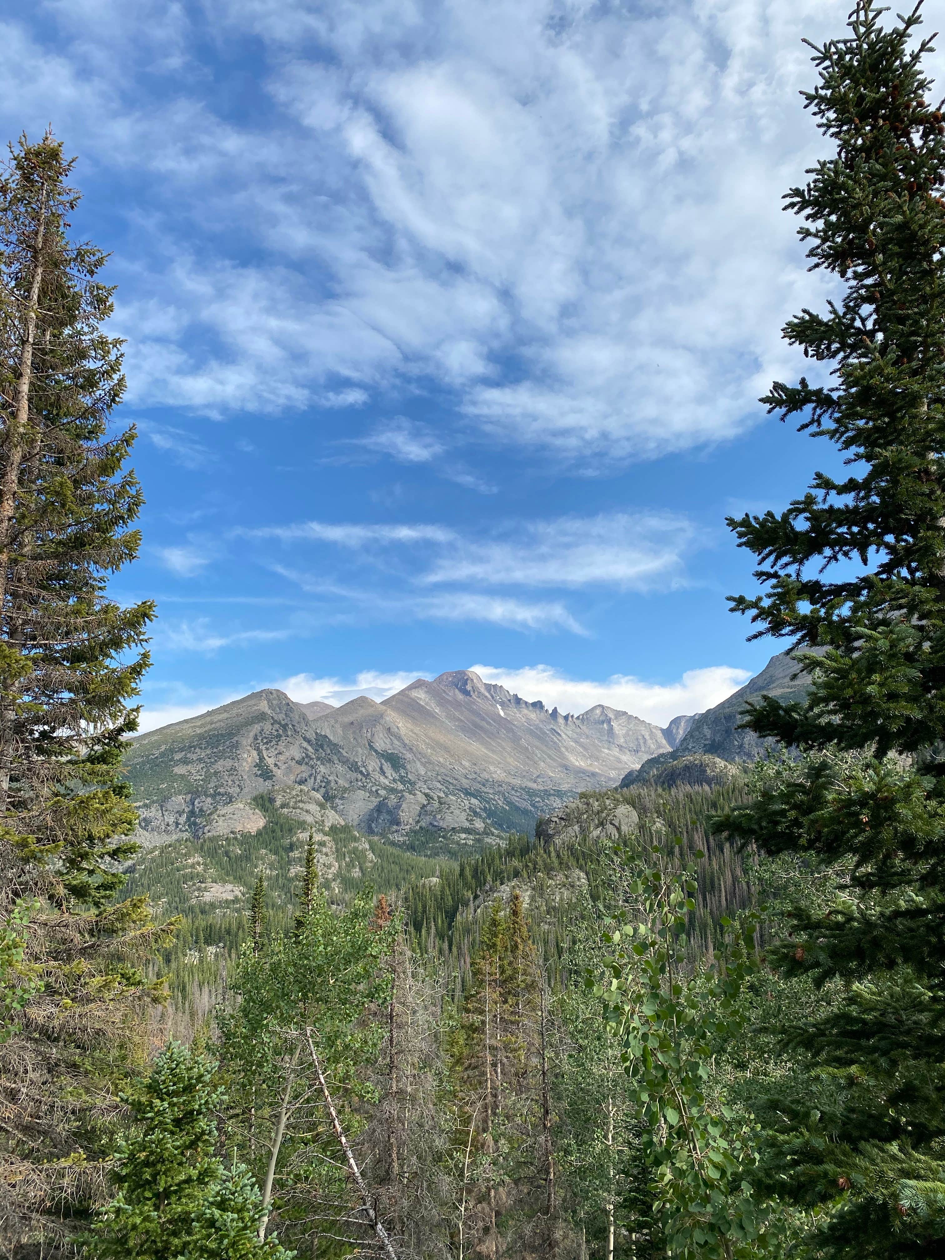 View All
