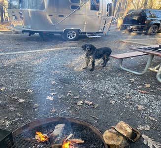 Camper-submitted photo from West Rim - Cloudland Canyon State Park