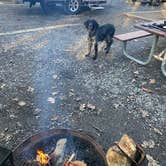 Review photo of Fort Mountain State Park Campground by carolyn , January 29, 2021