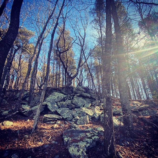 Fort Mountain State Park Campground