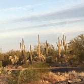 Review photo of Cactus Forest Dispersed by Rocco , December 31, 2020
