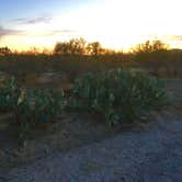 Review photo of Cactus Forest Dispersed by Rocco , December 31, 2020