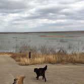 Review photo of Red Arroyo — San Angelo State Park by Rocco , December 28, 2020