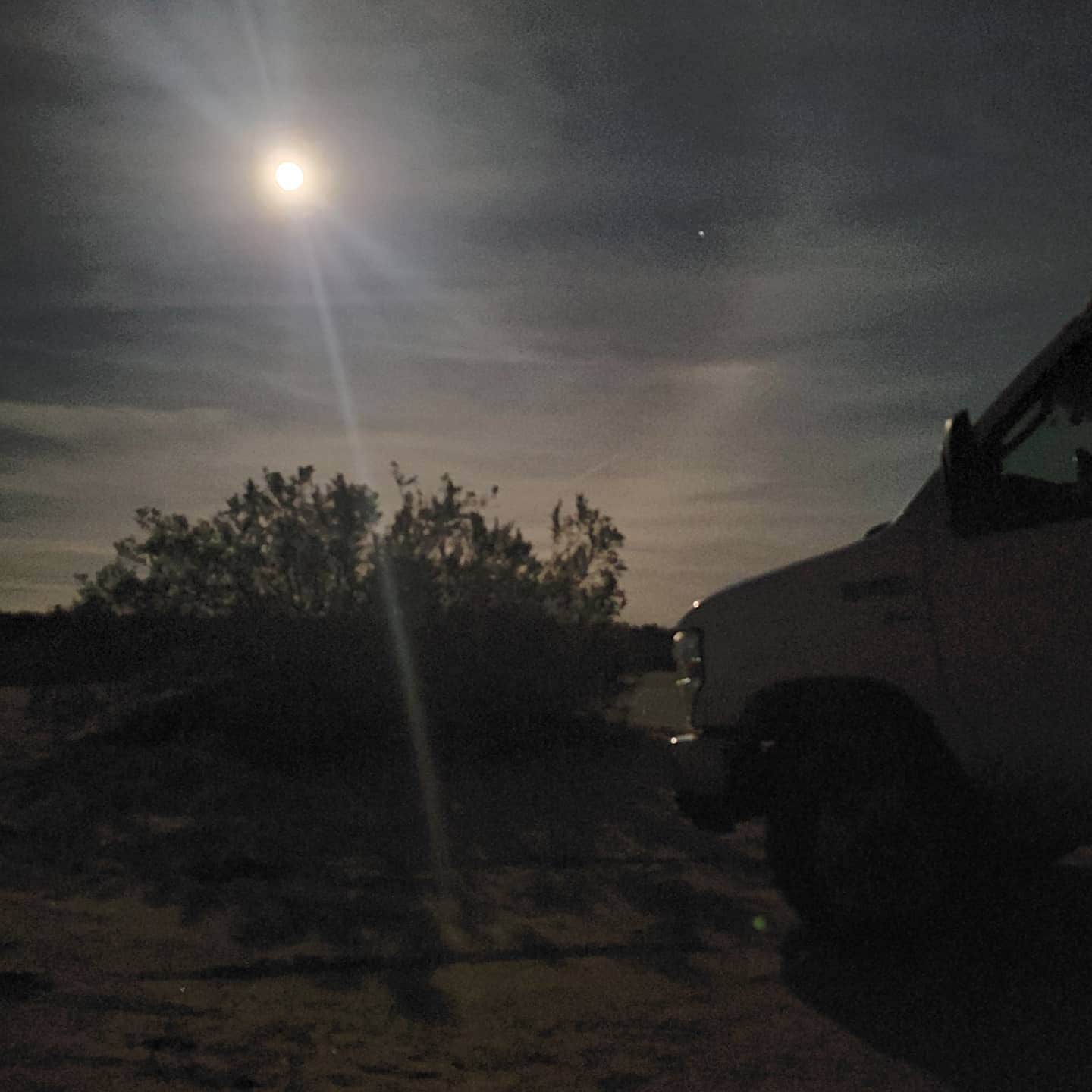 Camper-submitted photo at Mittry Lake Wildlife Area near Winterhaven, CA