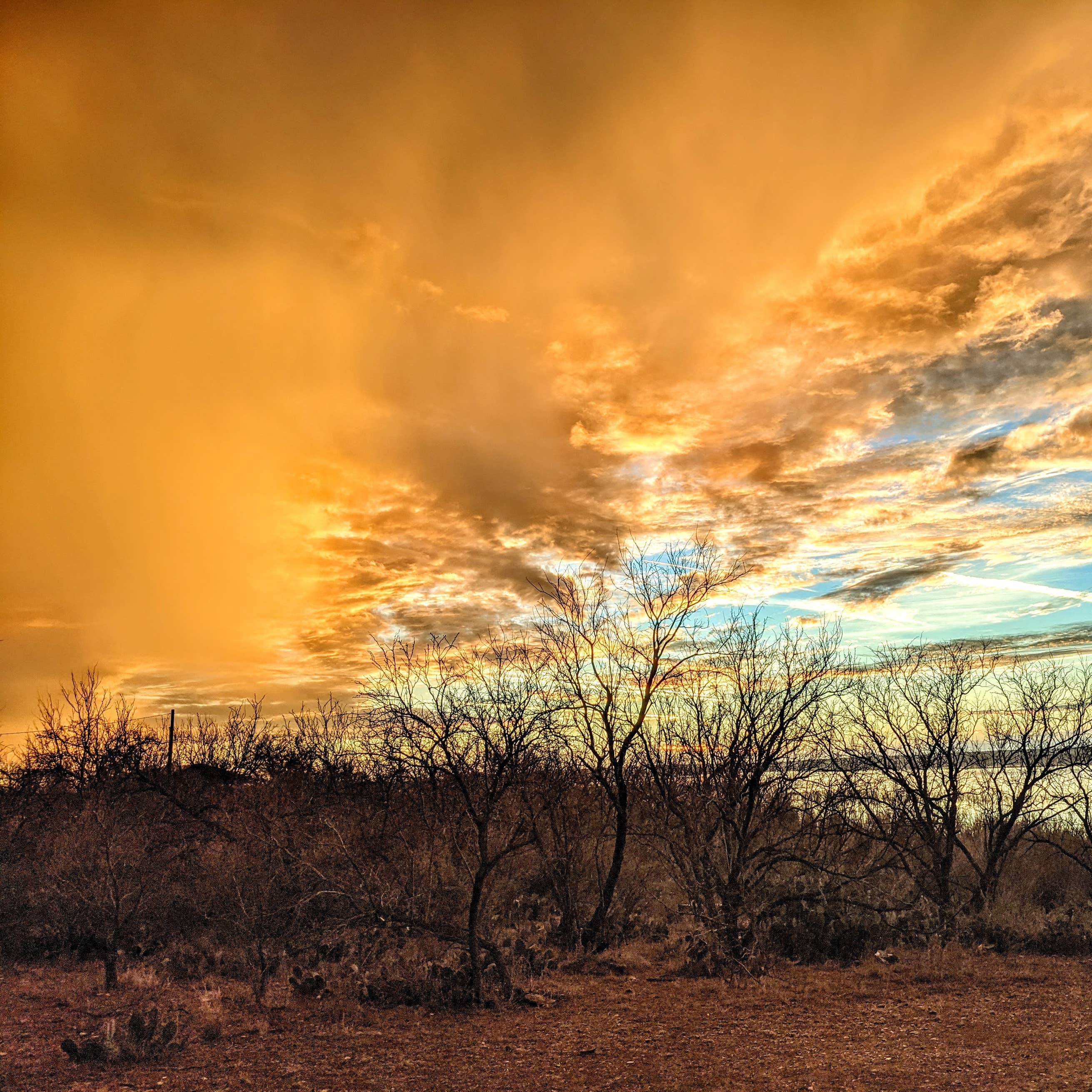Concho Park - O.H. Ivie Reservoir Camping | The Dyrt