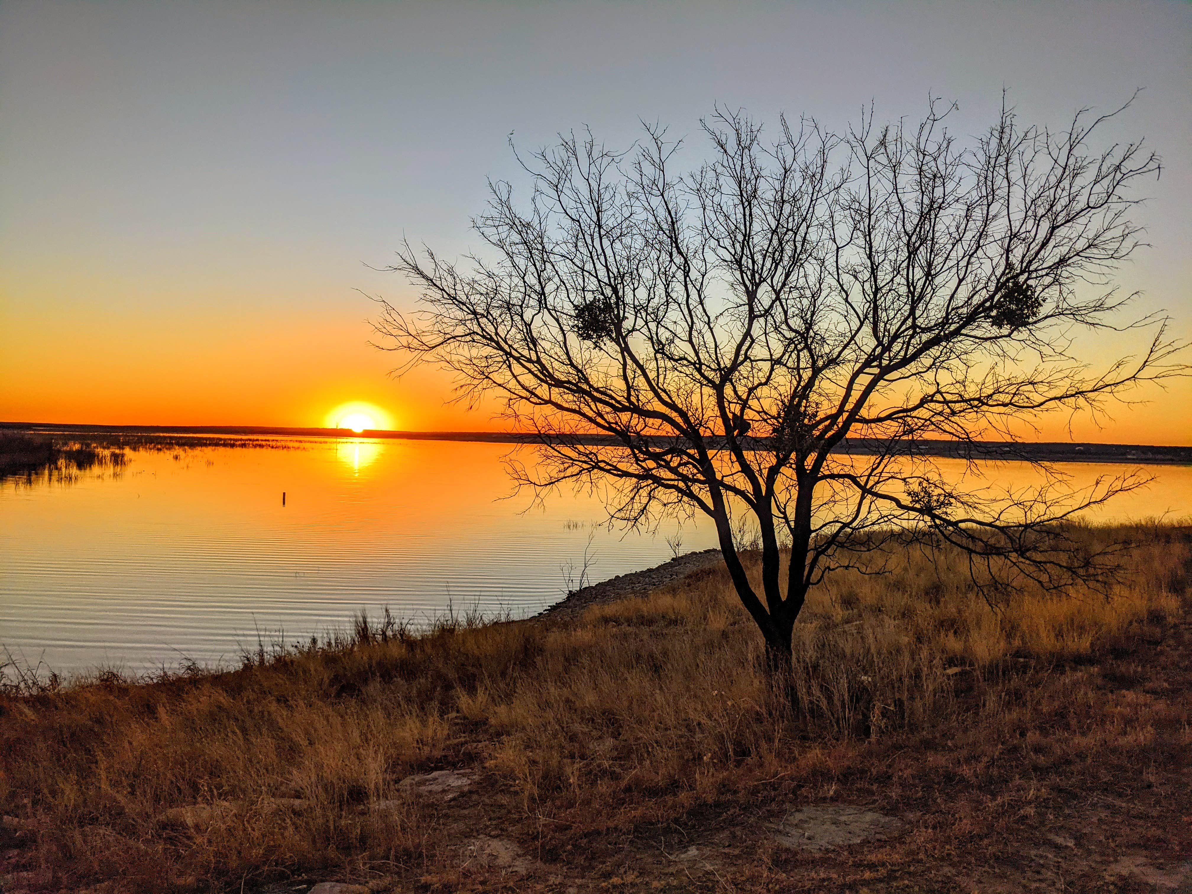 Camper-submitted photo at Concho Park - O.H. Ivie Reservoir near Hords Creek Lake
