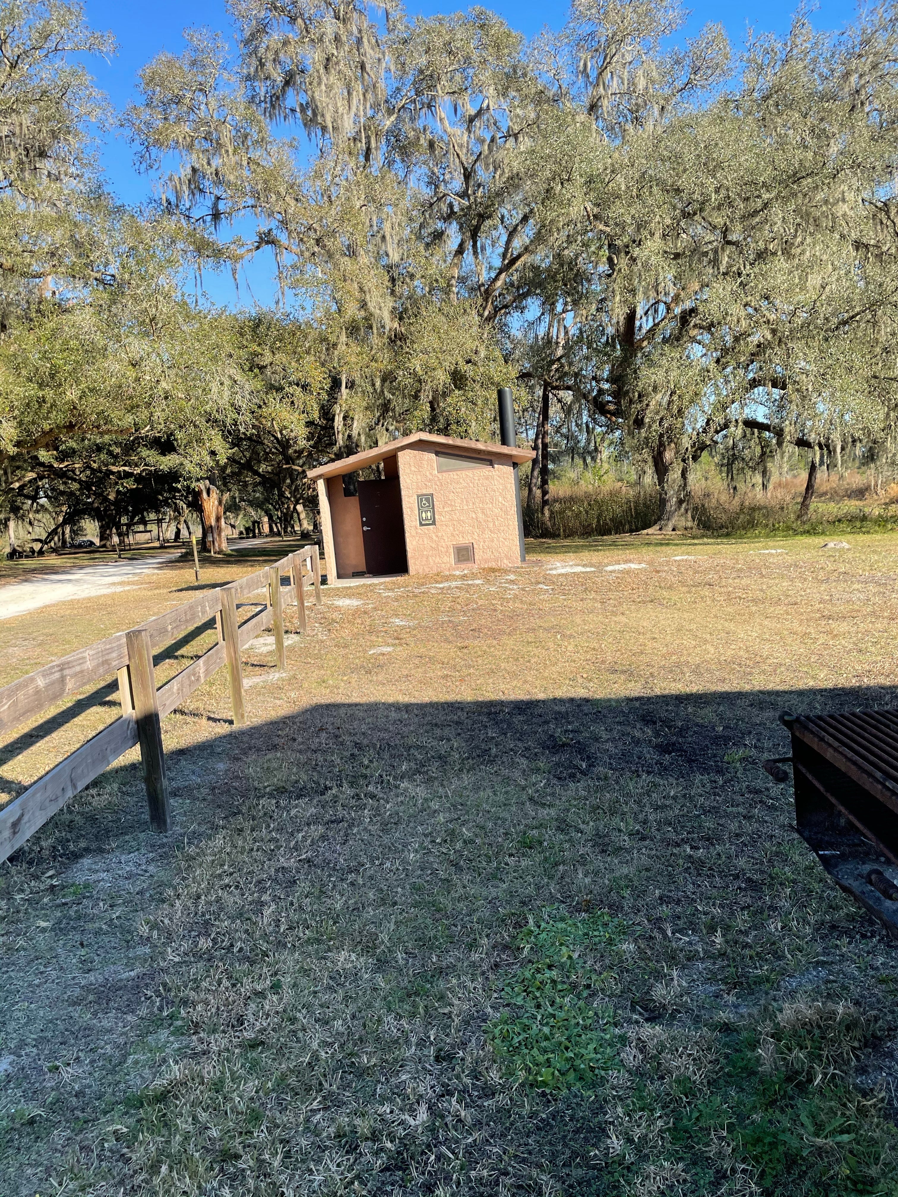 Camper submitted image from Green Swamp — West Tract - 2