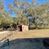 Review photo of Green Swamp — West Tract by Abby M., January 29, 2021