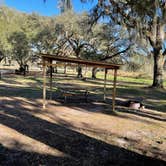 Review photo of Green Swamp — West Tract by Abby M., January 29, 2021